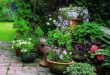 garden ideas with pots