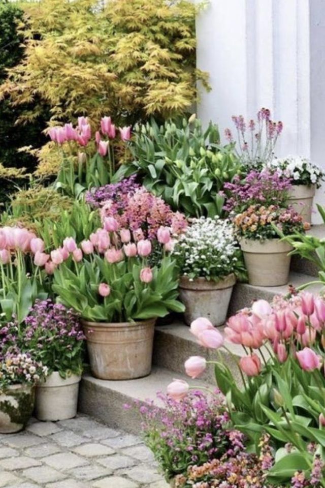 Creative Container Gardening: Unleashing Your Garden’s Potential with Pots