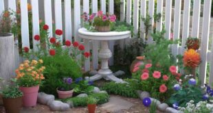 corner garden ideas backyards