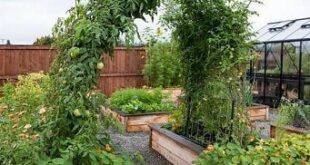 raised garden beds ideas layout