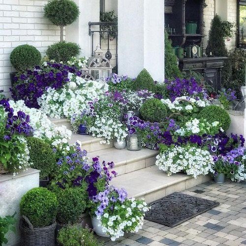 garden ideas for front of house