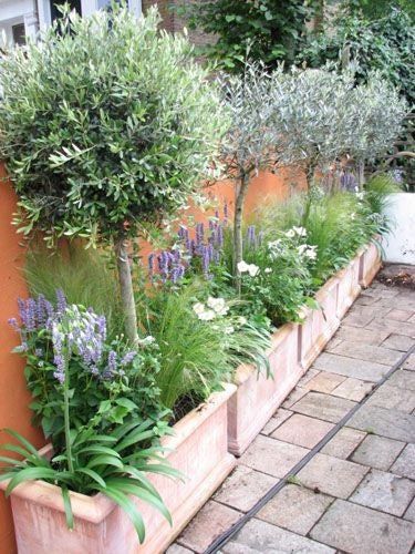 Creative Front Yard Landscaping Ideas for a Cozy Outdoor Space