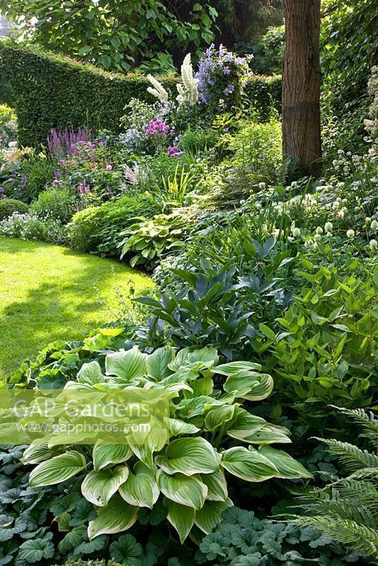 Creative Garden Border Ideas for Beautifying Your Outdoor Space