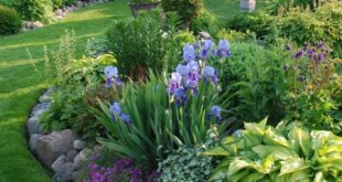 garden ideas for front of house