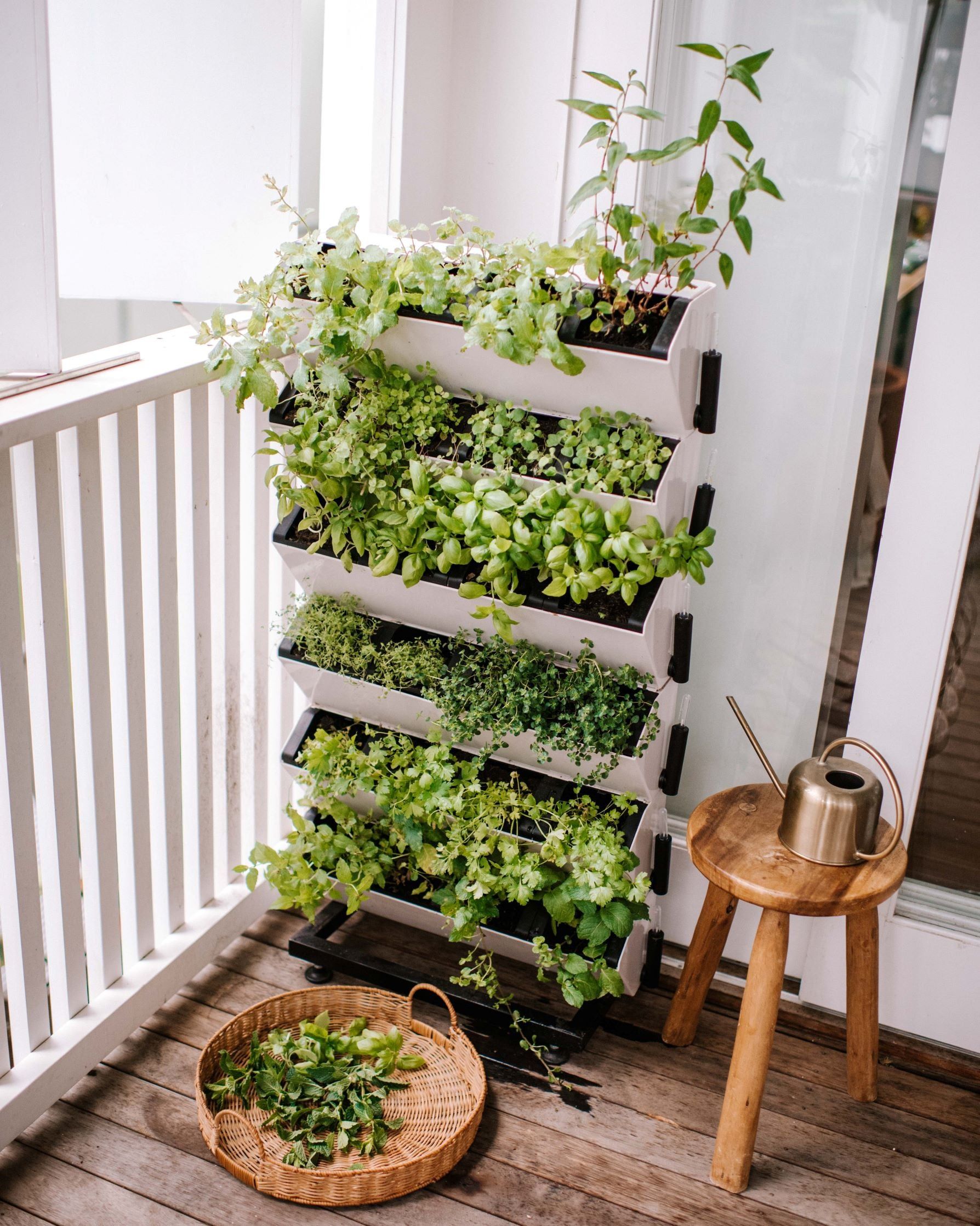 Growing Up: The Beauty and Benefits of Vertical Gardens