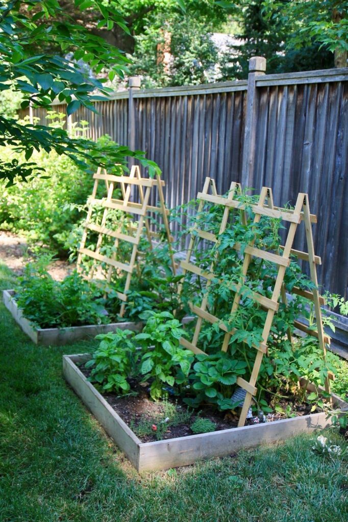 garden ideas vegetable