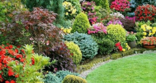 garden landscaping ideas