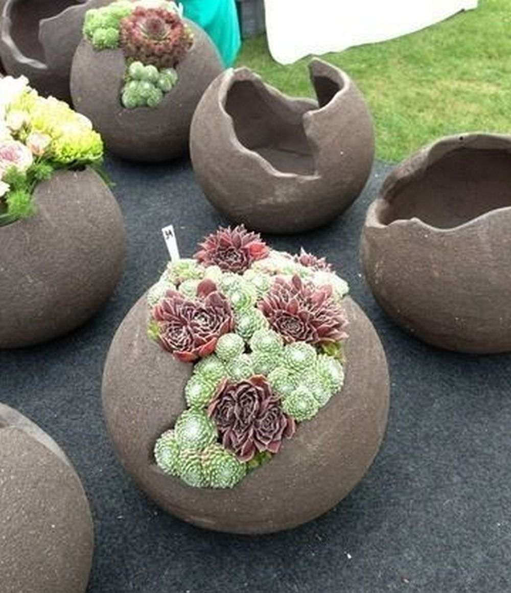 Creative Garden Planter Ideas for Your DIY Project