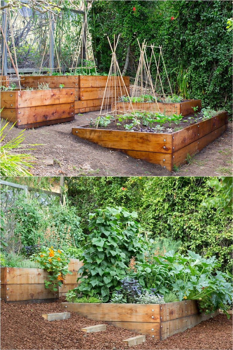 Creative Garden Vegetable Ideas for Your Outdoor Space