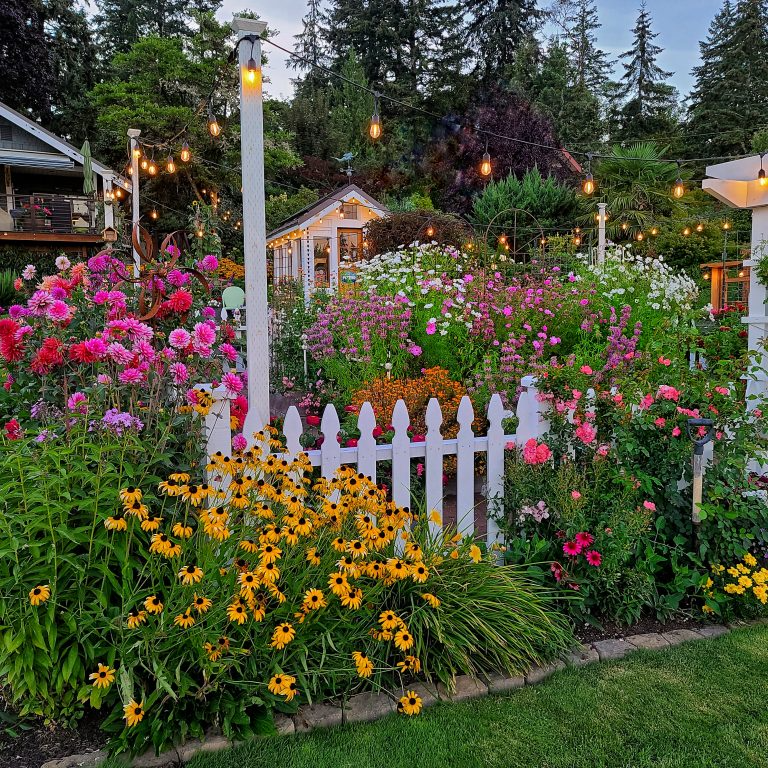 Creative Ideas for Designing Your Backyard Flower Garden