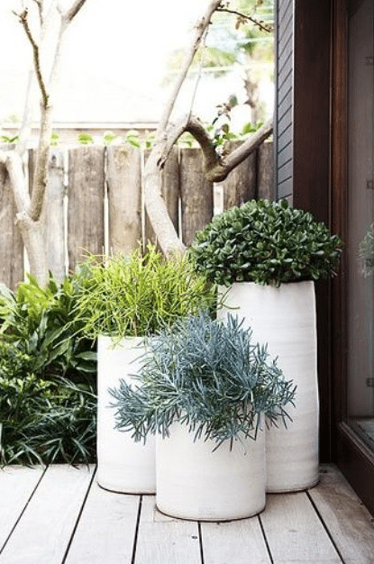 patio planter ideas