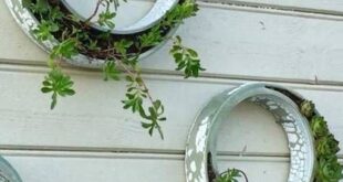 garden planter decor