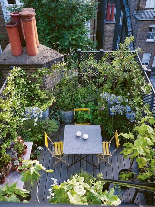 Creative Ideas for Terrace Gardens