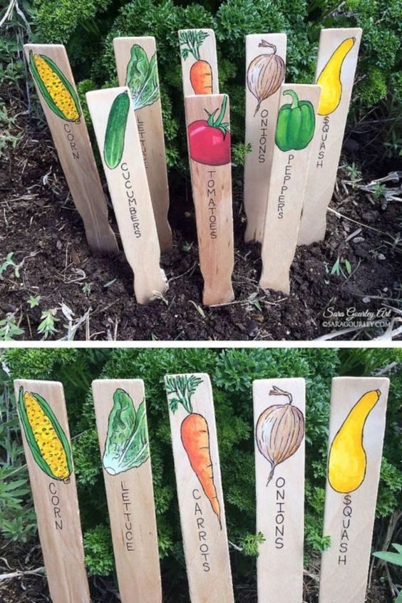 Creative Ideas for Your Vegetable Garden