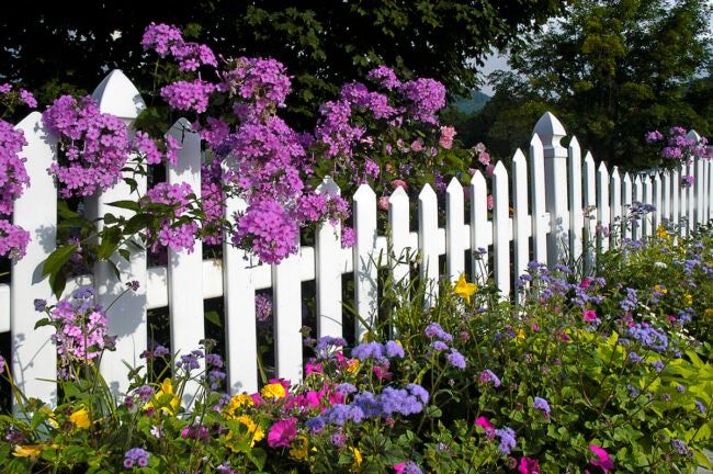 Creative Inspiration for Charming Picket Fences