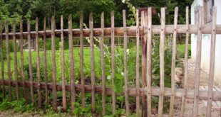 picket fence ideas