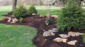 landscaping berm ideas