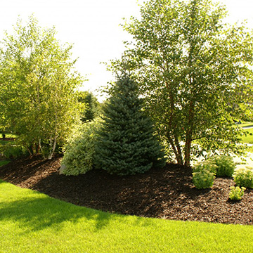 Creative Landscaping Ideas for Berms