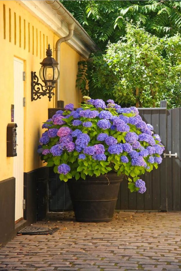 Creative Landscaping Ideas to Enhance Your Front Yard