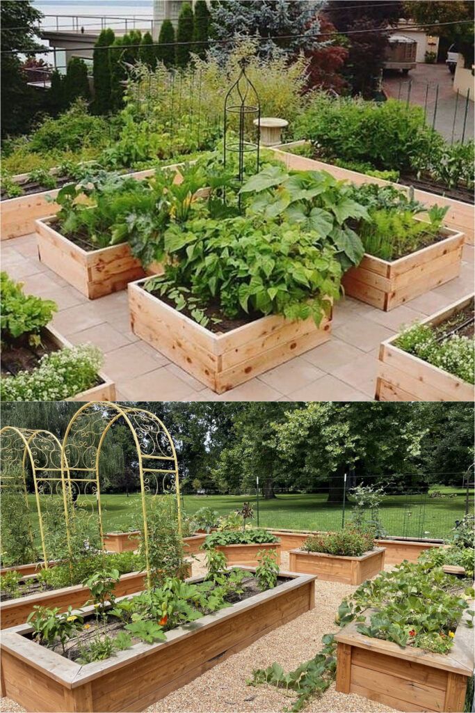 Creative Layout Ideas for Raised Garden Beds