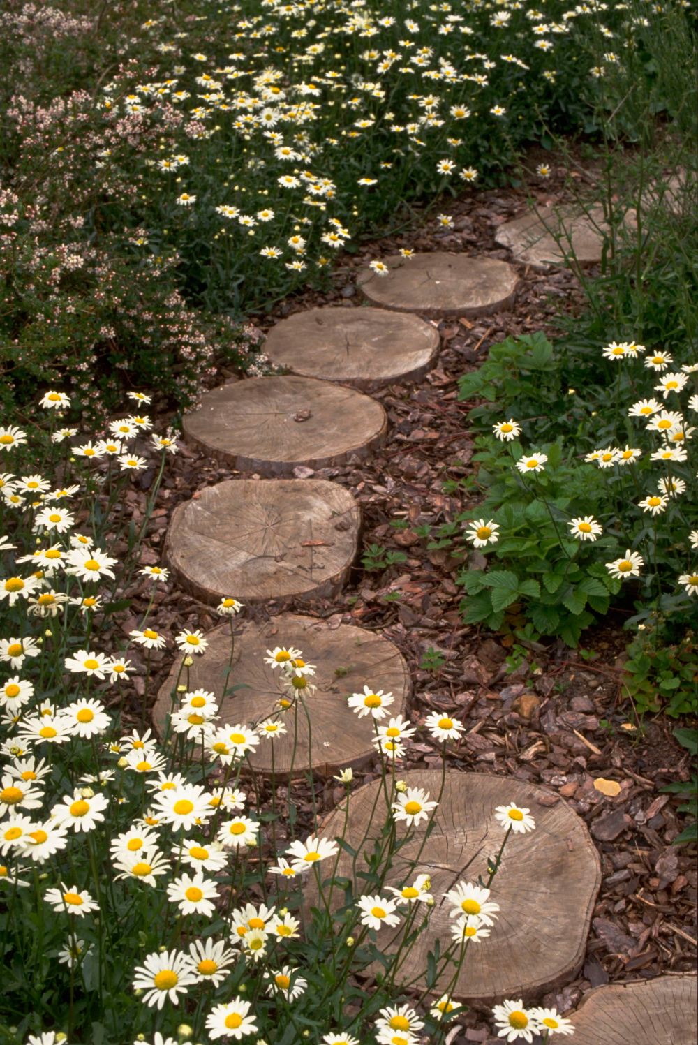 Creative Pathways: Unique Ideas for Your Garden Walkways