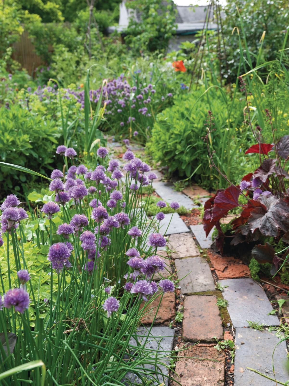 Creative Pathways to Enhance Your Garden Landscape