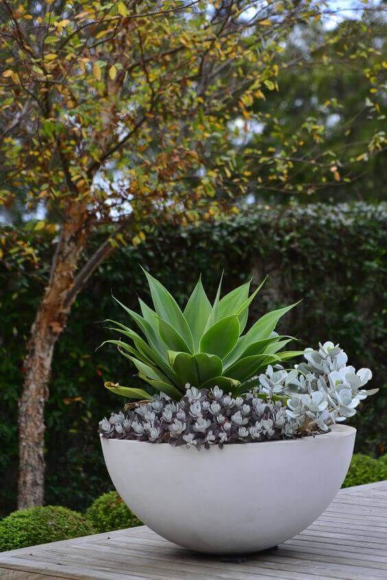 Creative Patio Planter Designs to Beautify Your Outdoor Space