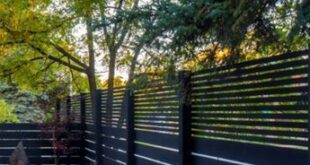 privacy fence ideas