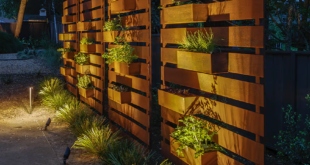 privacy fence ideas