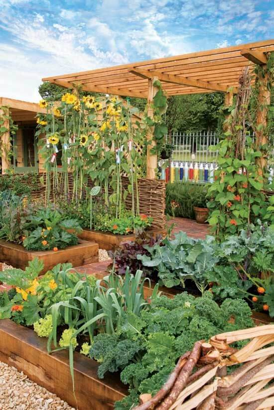 Creative Raised Bed Garden Design Inspiration