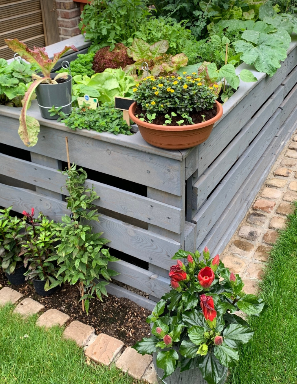Creative Raised Bed Garden Designs to Elevate Your Outdoor Space