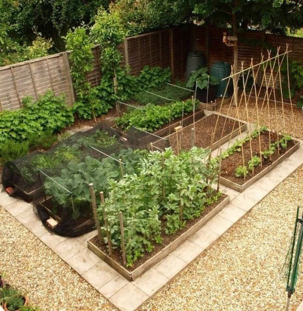 raised garden beds ideas layout