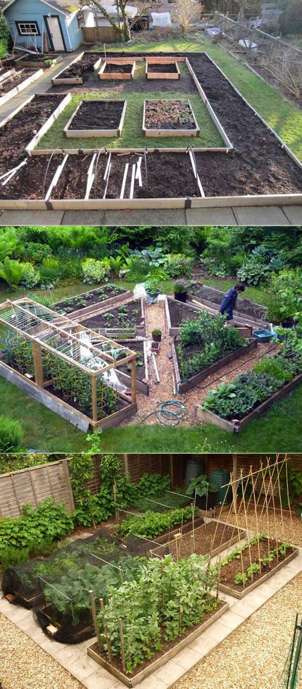 Creative Raised Garden Bed Layout Ideas for Your Outdoor Space