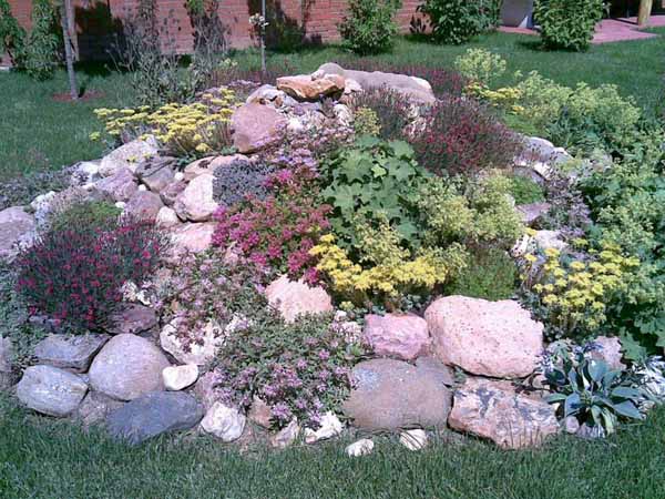 Creative Rockery Designs for Small Gardens