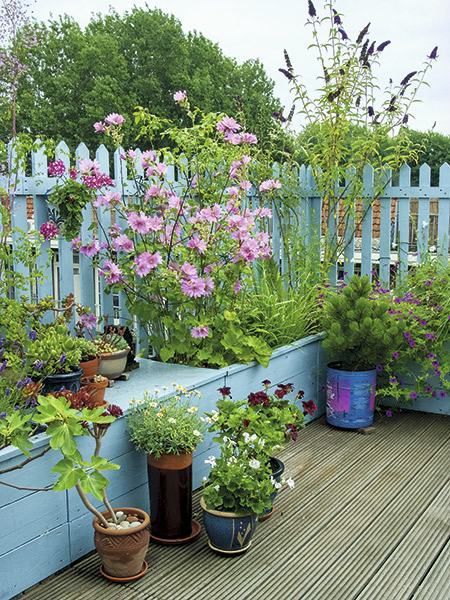 Creative Small Garden Planting Ideas for a Beautiful Outdoor Space