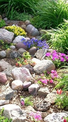 Creative Small Garden Rockery Designs for Your Outdoor Space