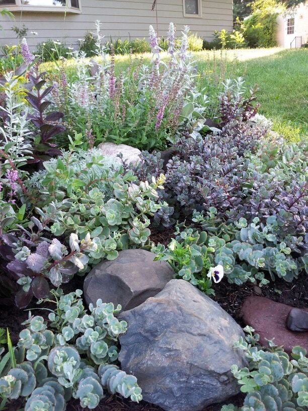 Creative Small Garden Rockery Ideas for a Charming Outdoor Space