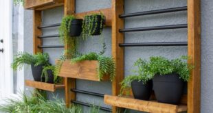 small garden wall ideas