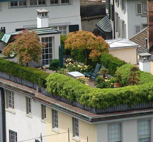 Creative Terrace Garden Ideas to Transform Your Outdoor Space