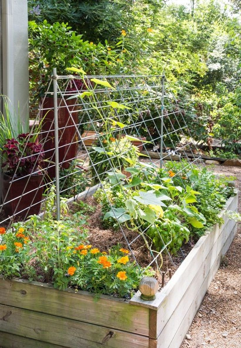 Creative Vegetable Garden Ideas for Your Outdoor Space