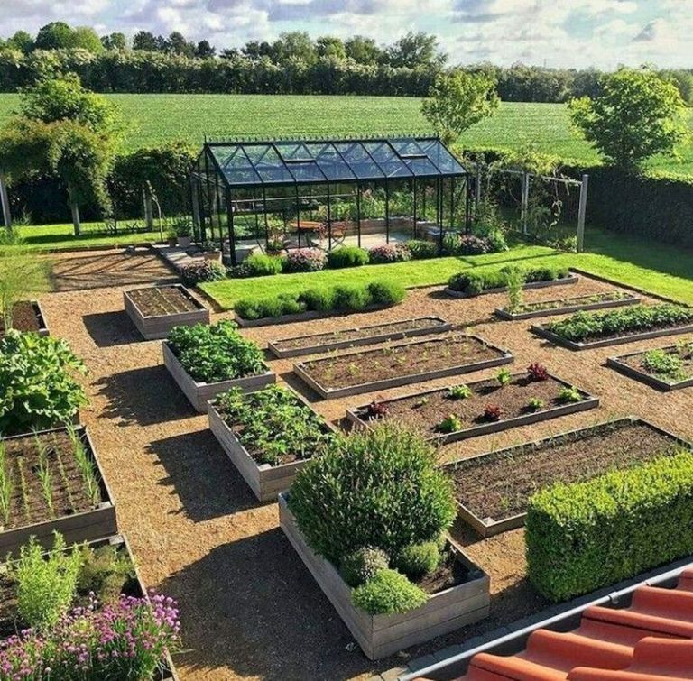 Creative Vegetable Garden Ideas to Transform Your Outdoor Space