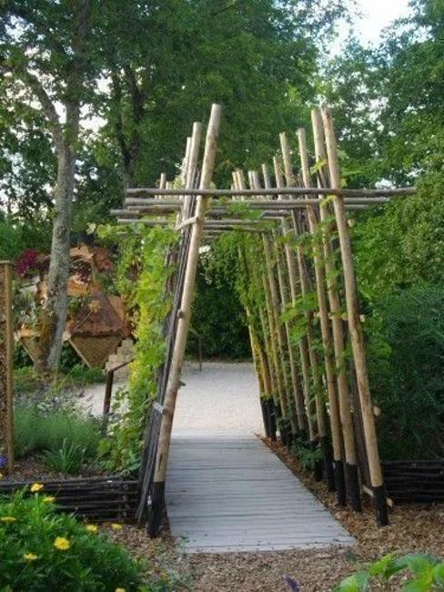Creative Ways to Beautify Your Garden with Unique Decorations