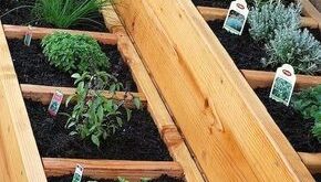 container garden ideas