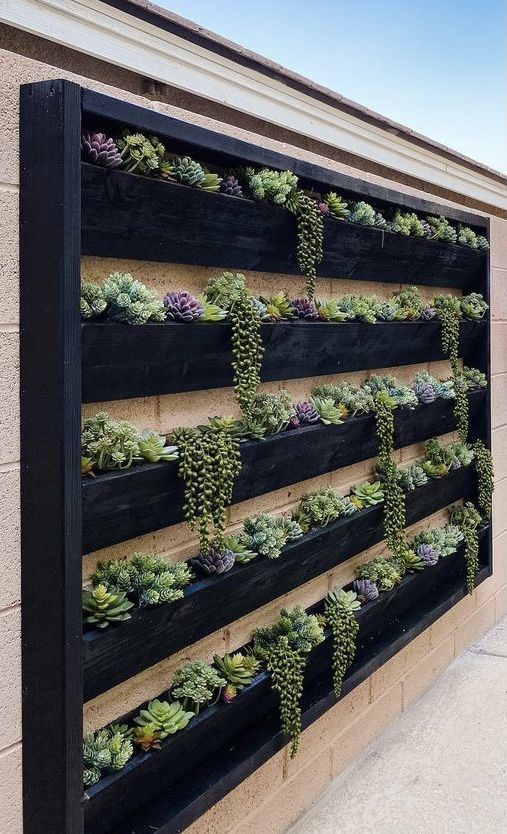 Creative Ways to Build a Charming Garden Wall