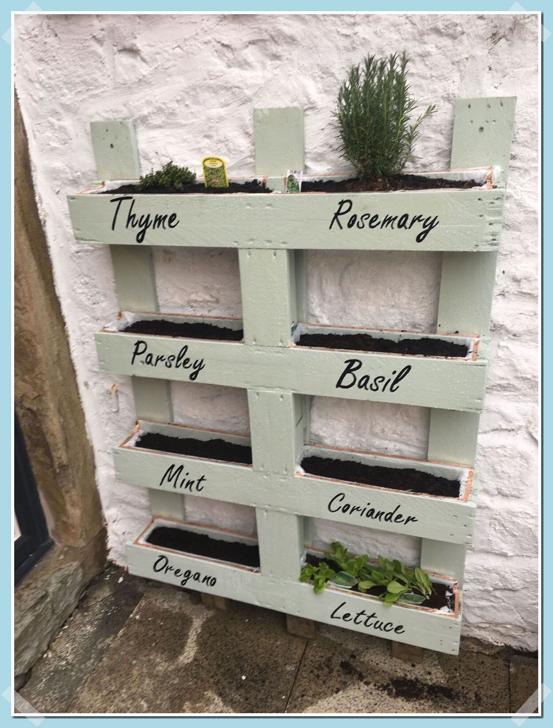 Creative Ways to Create Your Own Herb Garden Planter from Everyday Items