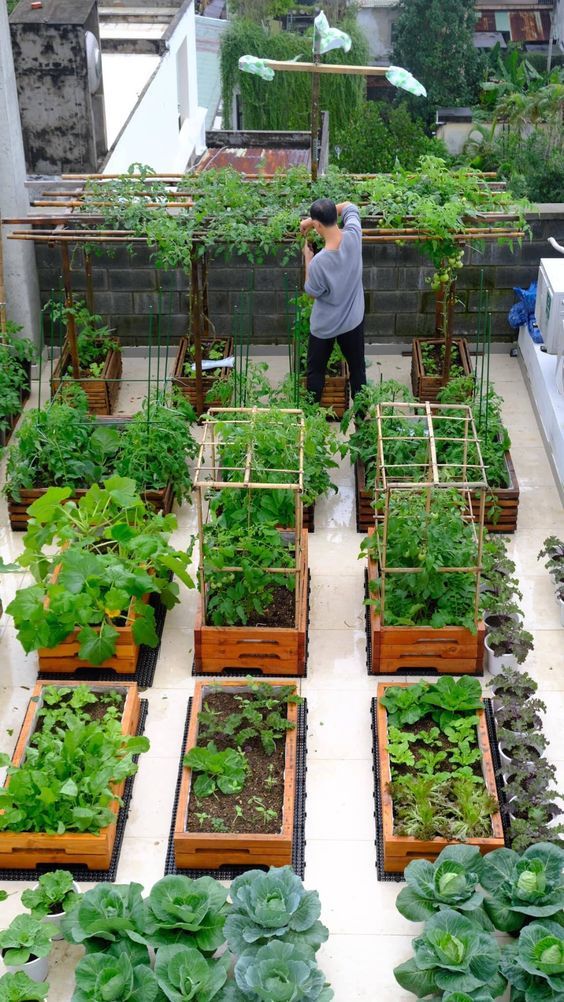 Creative Ways to Create a Bountiful Vegetable Garden