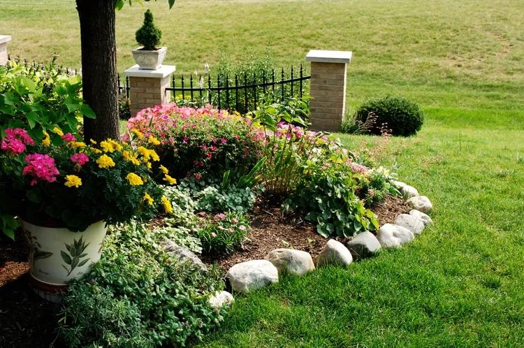 Creative Ways to Define Your Garden Borders