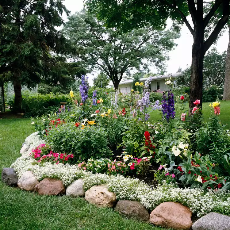 Creative Ways to Define Your Garden with Landscape Edging