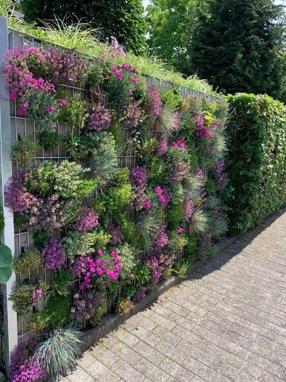 Creative Ways to Design Charming Garden Walls