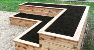 raised bed garden ideas